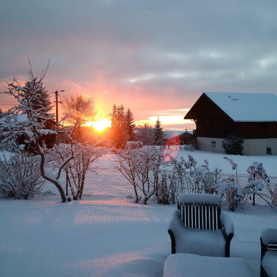 Chalet Les Aigles Saint-Sixt Kültér fotó